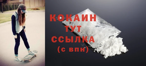 твердый Осташков