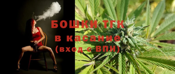 твердый Осташков