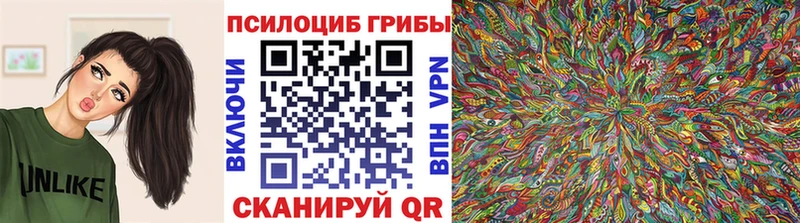 мега ТОР  закладки  Аксай  Галлюциногенные грибы GOLDEN TEACHER 